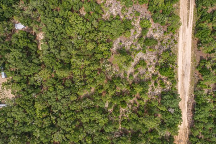 Aerials of Land for Sale in Interlachen FL Veuwr Aerials 15 of 41 scaled