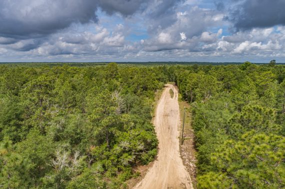 Aerials of Land for Sale in Interlachen FL Veuwr Aerials 22 of 41 scaled Aerials of Land for Sale in Interlachen FL Veuwr Aerials 22 of 41 scaled