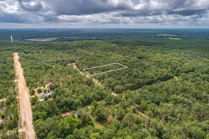 Aerials of Land for Sale in Interlachen FL Veuwr Aerials 26 of 41 scaled