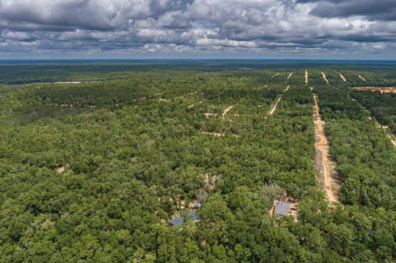 Aerials of Land for Sale in Interlachen FL Veuwr Aerials 41 of 41 scaled Aerials of Land for Sale in Interlachen FL Veuwr Aerials 41 of 41 scaled