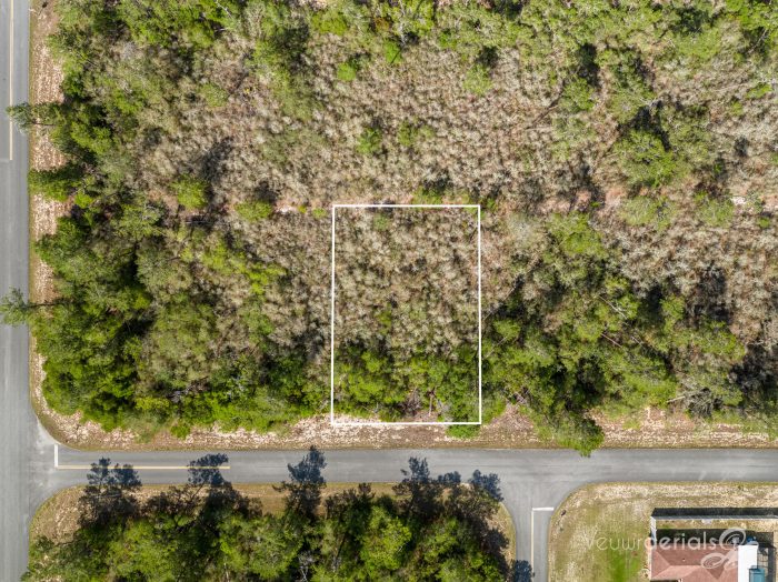 Aerials of Land for Sale in Marion County FL Veuwr Aerials 2 of 5 scaled Aerials of Land for Sale in Marion County FL Veuwr Aerials 2 of 5 scaled