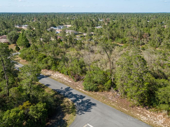 Aerials of Land for Sale in Marion County FL Veuwr Aerials 4 of 5 scaled Aerials of Land for Sale in Marion County FL Veuwr Aerials 4 of 5 scaled