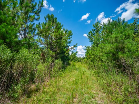 Aerials of Land for Sale near Gainesville Regional Airport Lot of Land Inc 11 of 48 scaled Aerials of Land for Sale near Gainesville Regional Airport Lot of Land Inc 11 of 48 scaled