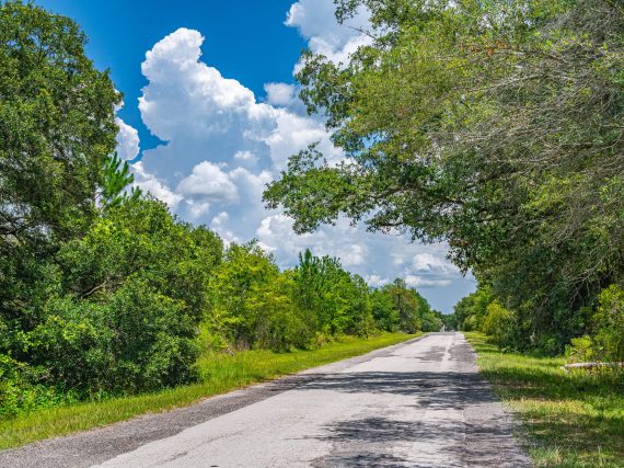 Aerials of Land for Sale near Gainesville Regional Airport Lot of Land Inc 3 of 48 scaled Aerials of Land for Sale near Gainesville Regional Airport Lot of Land Inc 3 of 48 scaled