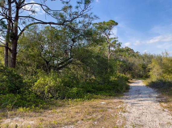 Aerials of Land for Sale w Pool in Lake Placid FL 6 of 7 scaled Aerials of Land for Sale w Pool in Lake Placid FL 6 of 7 scaled