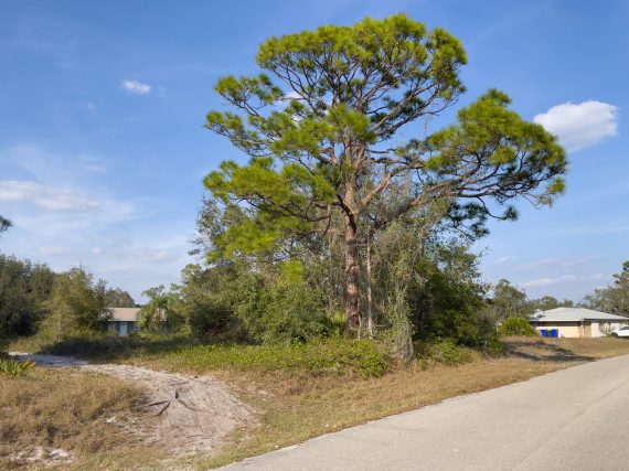 Aerials of Land for Sale w Pool in Lake Placid FL 7 of 7 scaled Aerials of Land for Sale w Pool in Lake Placid FL 7 of 7 scaled