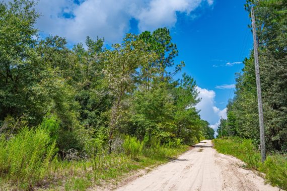 Aerials of Land in Bronson FL Veuwr Aerials 1 of 6 scaled Aerials of Land in Bronson FL Veuwr Aerials 1 of 6 scaled