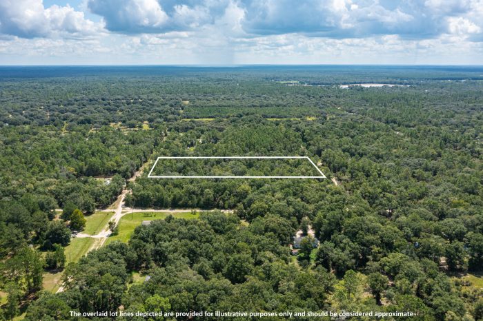 Aerials of Land in Bronson FL Veuwr Aerials 3 of 6 scaled