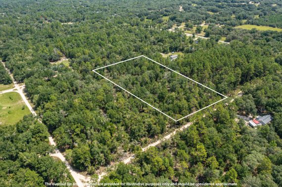 Aerials of Land in Bronson FL Veuwr Aerials 5 of 6 scaled Aerials of Land in Bronson FL Veuwr Aerials 5 of 6 scaled