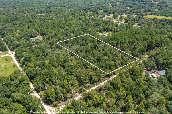 Aerials of Land in Bronson FL Veuwr Aerials 5 of 6 scaled