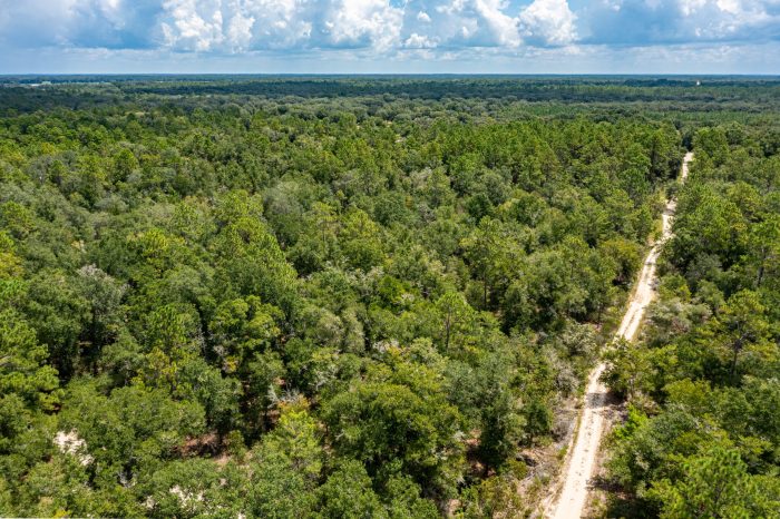 Aerials of Land in Bronson FL Veuwr Aerials 6 of 6 scaled