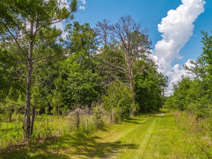 Aerials of Land in Live Oak FL Veuwr Aerials 3 of 39 scaled Aerials of Land in Live Oak FL Veuwr Aerials 3 of 39 scaled