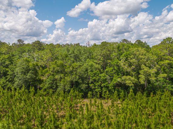 Aerials of Land in Live Oak FL Veuwr Aerials 33 of 39 scaled Aerials of Land in Live Oak FL Veuwr Aerials 33 of 39 scaled