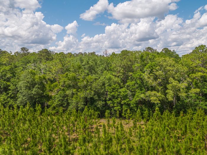 Aerials of Land in Live Oak FL Veuwr Aerials 33 of 39 scaled Aerials of Land in Live Oak FL Veuwr Aerials 33 of 39 scaled