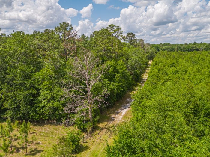 Aerials of Land in Live Oak FL Veuwr Aerials 34 of 39 scaled Aerials of Land in Live Oak FL Veuwr Aerials 34 of 39 scaled
