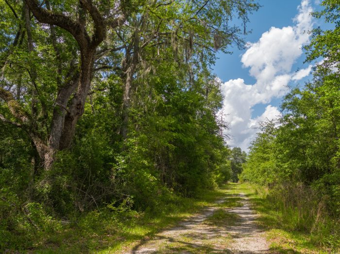 Aerials of Land in Live Oak FL Veuwr Aerials 7 of 39 scaled Aerials of Land in Live Oak FL Veuwr Aerials 7 of 39 scaled