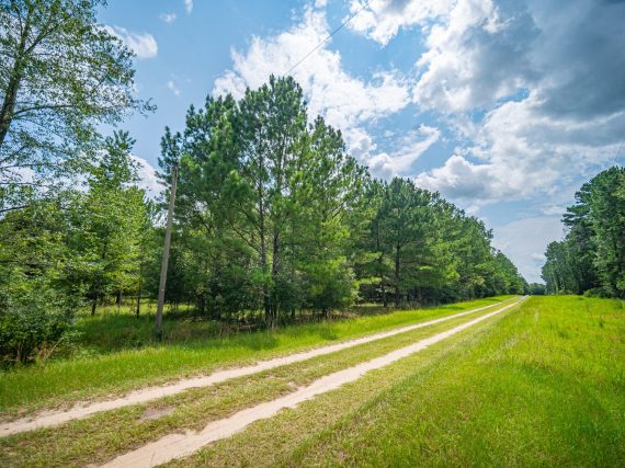 Aerials of Land in Madison FL 8 of 49 scaled Aerials of Land in Madison FL 8 of 49 scaled