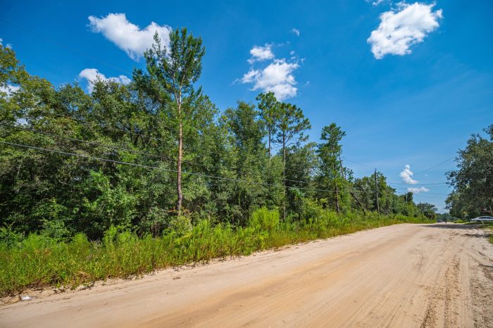 Aerials of Land in Satsuma FL Veuwr Aerials (1 of 6)