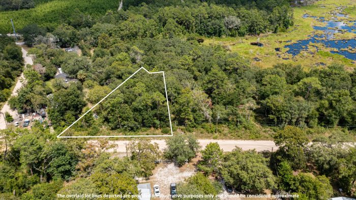 Aerials of Land in Satsuma FL Veuwr Aerials 3 of 6 scaled