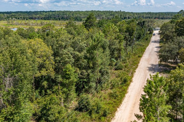 Aerials of Land in Satsuma FL Veuwr Aerials (4 of 6)