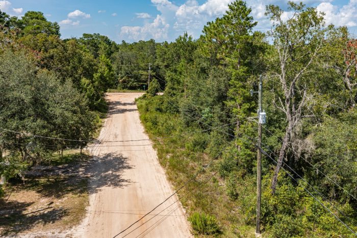 Aerials of Land in Satsuma FL Veuwr Aerials (6 of 6)