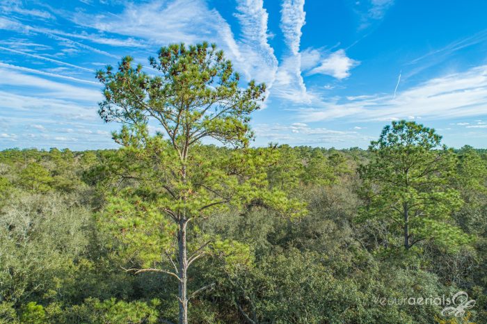 Branford Land Aerial Pictures Veuwr Aerials 5 of 7 scaled Branford Land Aerial Pictures Veuwr Aerials 5 of 7 scaled