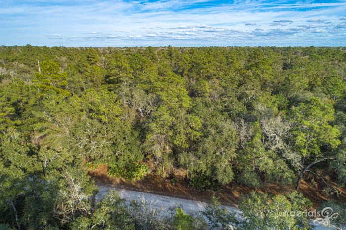 Branford Land Aerial Pictures Veuwr Aerials 6 of 7 scaled Branford Land Aerial Pictures Veuwr Aerials 6 of 7 scaled