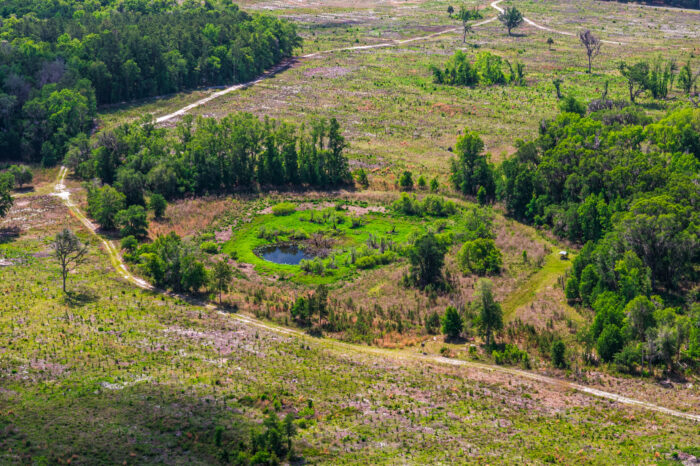 Conservation Land in Levy County FL (2 of 52)