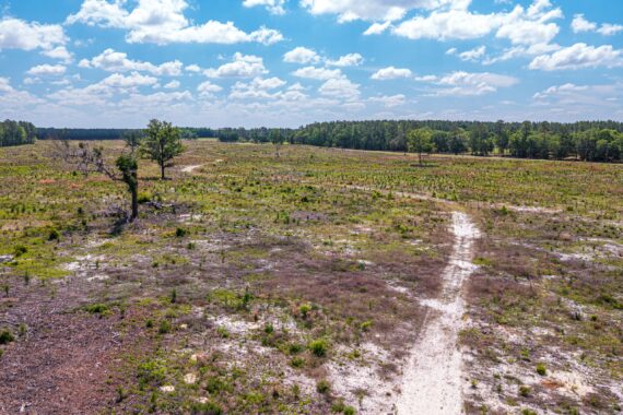 Conservation Land in Levy County FL (4 of 52)