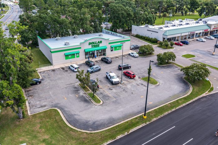 Dollar Tree in Perry FL (2 of 3)
