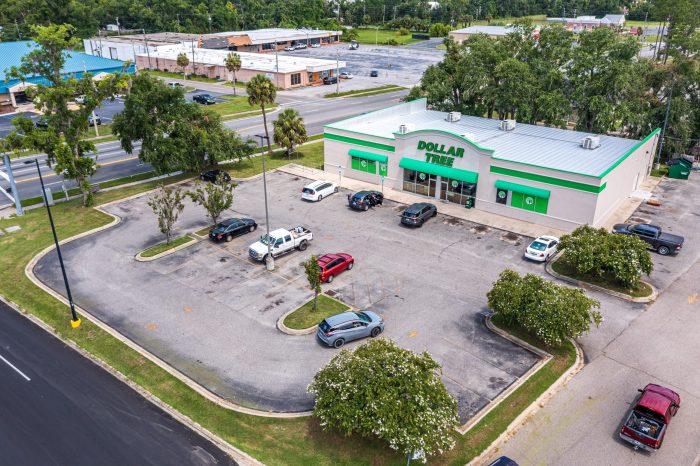 Dollar Tree in Perry FL (3 of 3)