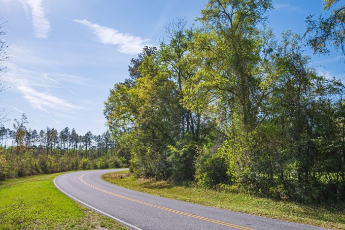 Drone Pictures of Land in Lake City FL Veuwr Aerials (1 of 8)