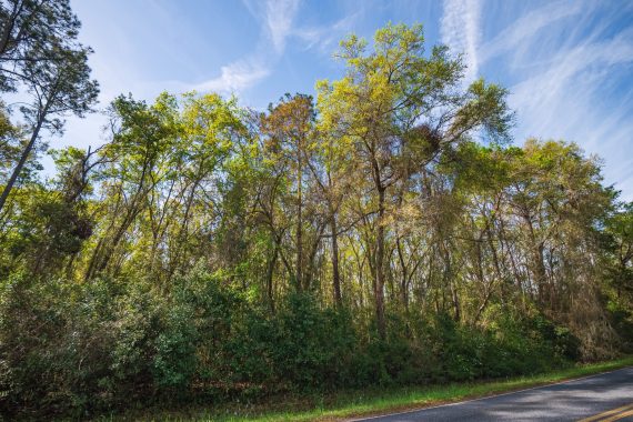 Drone Pictures of Land in Lake City FL Veuwr Aerials (2 of 8) Drone Pictures of Land in Lake City FL Veuwr Aerials (2 of 8)