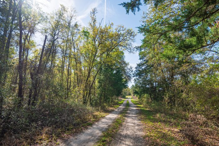 Drone Pictures of Land in Lake City FL Veuwr Aerials (3 of 8)