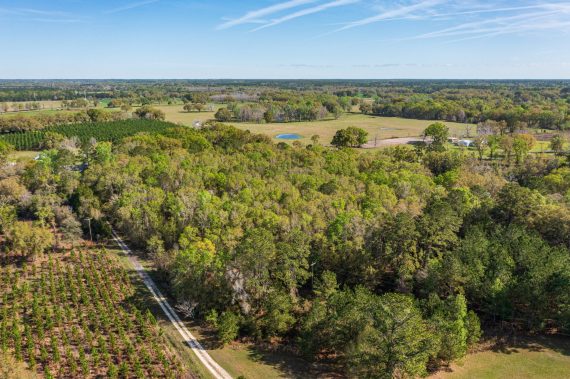 Drone Pictures of Land in Lake City FL Veuwr Aerials (7 of 8) Drone Pictures of Land in Lake City FL Veuwr Aerials (7 of 8)