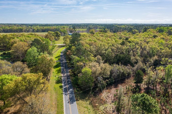 Drone Pictures of Land in Lake City FL Veuwr Aerials (8 of 8)