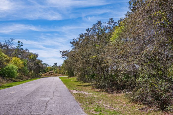 Drone Pictures of Land in Madison County FL (1 of 7)