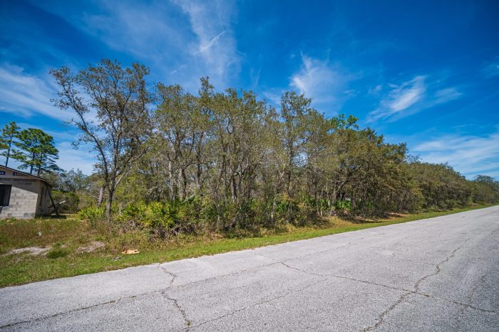 Drone Pictures of Land in Madison County FL (2 of 7)