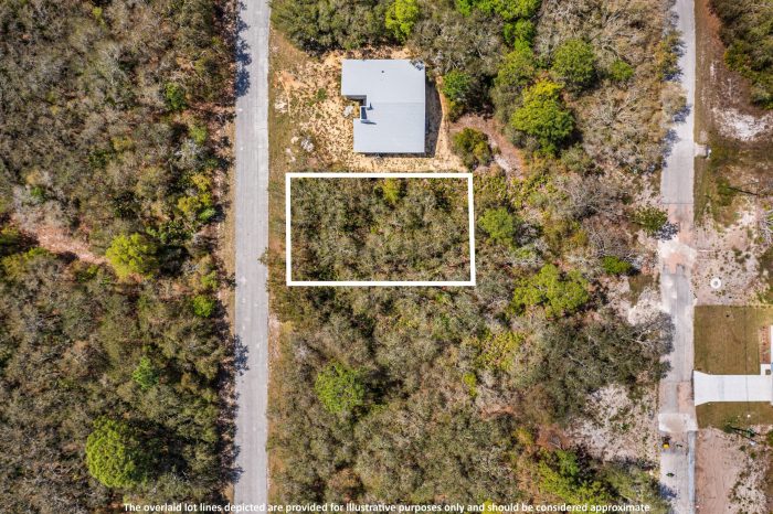 Drone Pictures of Land in Madison County FL (3 of 7)