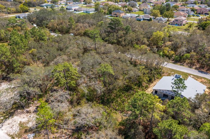 Drone Pictures of Land in Madison County FL (6 of 7)