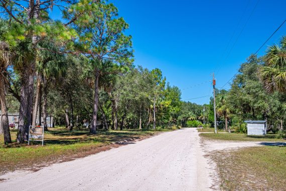 Drone Pictures of Lot of Land in Levy County FL (1 of 4) Drone Pictures of Lot of Land in Levy County FL (1 of 4)