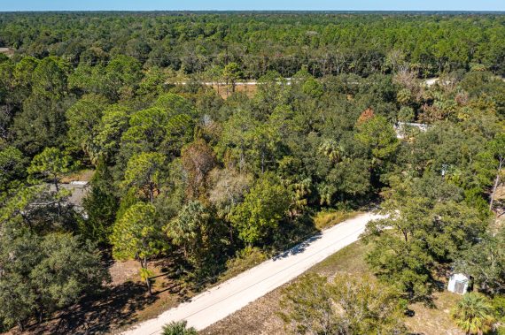 Drone Pictures of Lot of Land in Levy County FL (4 of 4) Drone Pictures of Lot of Land in Levy County FL (4 of 4)