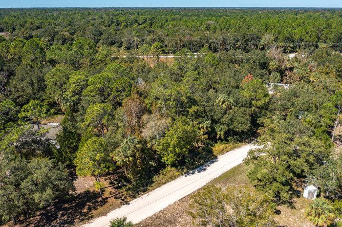 Drone Pictures of Lot of Land in Levy County FL (4 of 4) Drone Pictures of Lot of Land in Levy County FL (4 of 4)