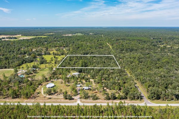 Land in Bronson FL Patrick Westervelt 23 of 49 scaled