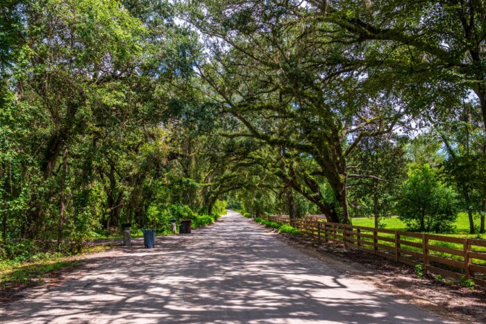 Land in Ft White FL (1 of 5)