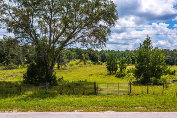 "Land Land in Ft White FL (5 of 5)