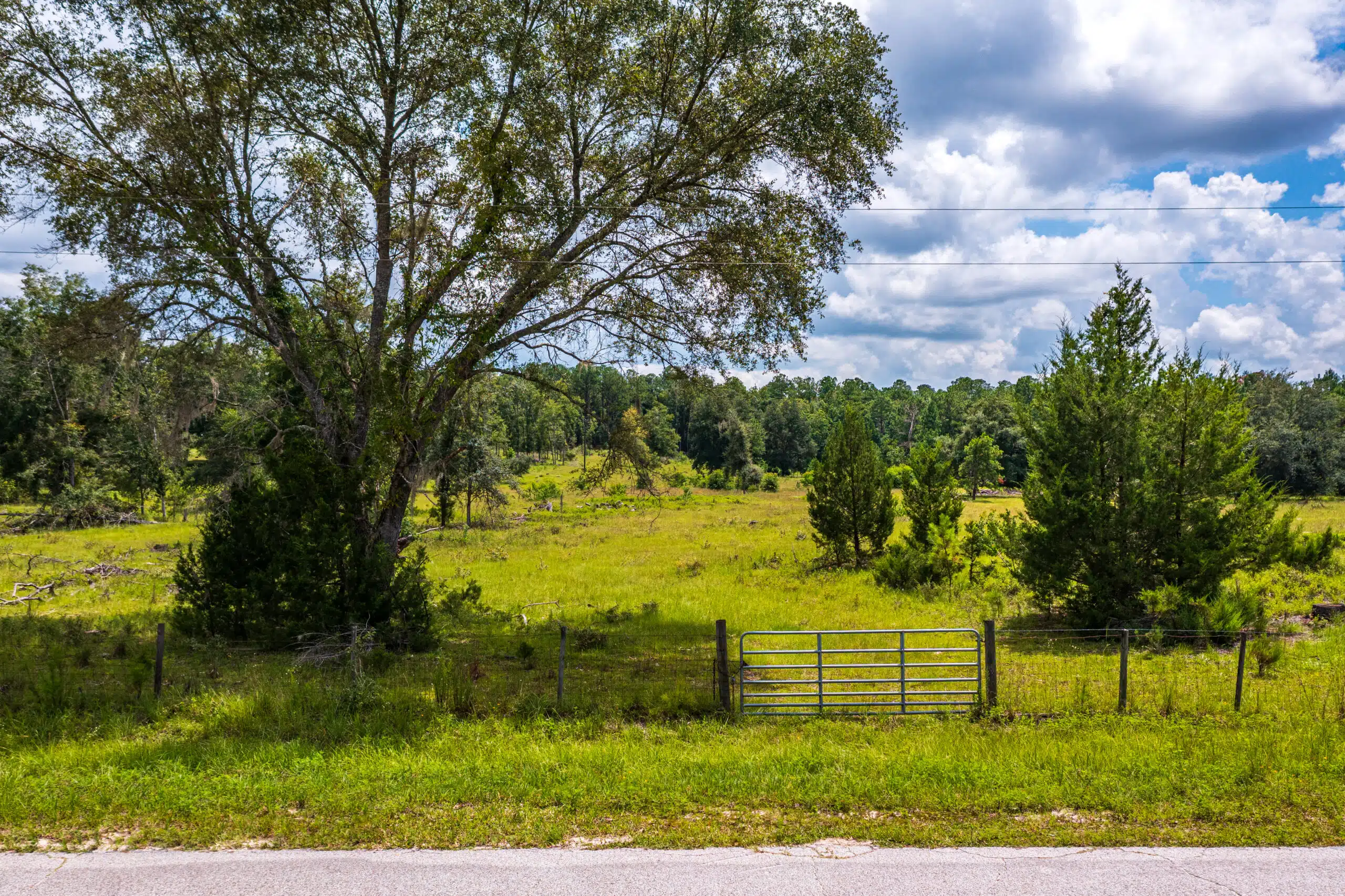 Land in Ft White FL (5 of 5)