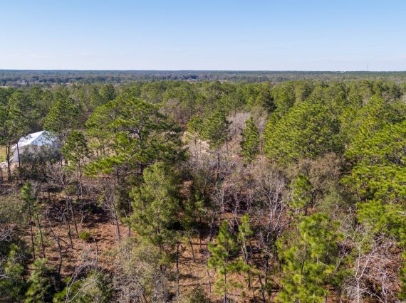 Land in Keystone Heights FL 6 of 6 scaled Land in Keystone Heights FL 6 of 6 scaled