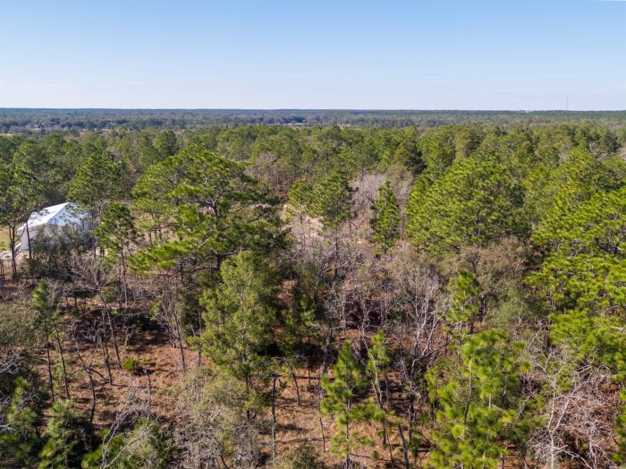 Land in Keystone Heights FL 6 of 6 scaled Land in Keystone Heights FL 6 of 6 scaled