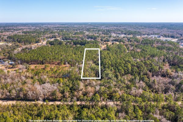 Land in Middleburg FL (1 of 4)